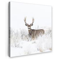 LEINWANDBILD Hirsche - Winter - Schnee - Tiere - Jahreszeiten - Weiß Deko Wohnzimmer 20x20 cm - Hellbraun, Textil (20/20cm) - MuchoWow