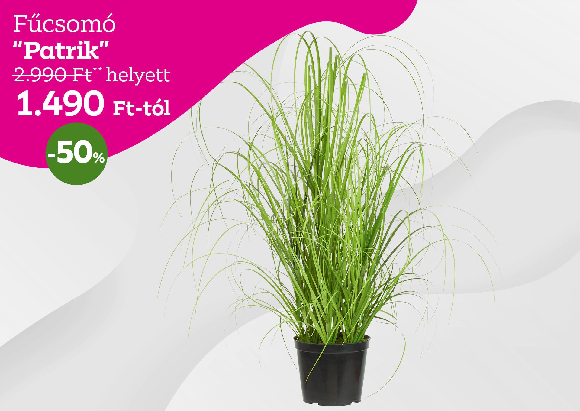 Fűcsomó PATRIK 2990 Forint helyett 1490 Forint, kedvezmény mértéke 50%