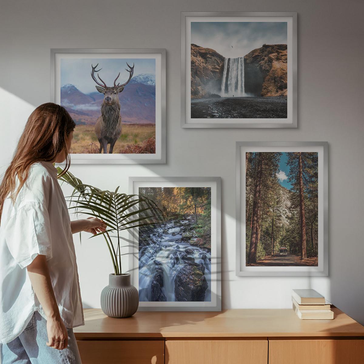 BILDER SET 4er Set - 50x50 cm & 40x60 cm Silberner Rahmen - Wasserfall Wald Berge Hirsch Natur - Silberfarben, Kunststoff (50/50cm) - TULUP