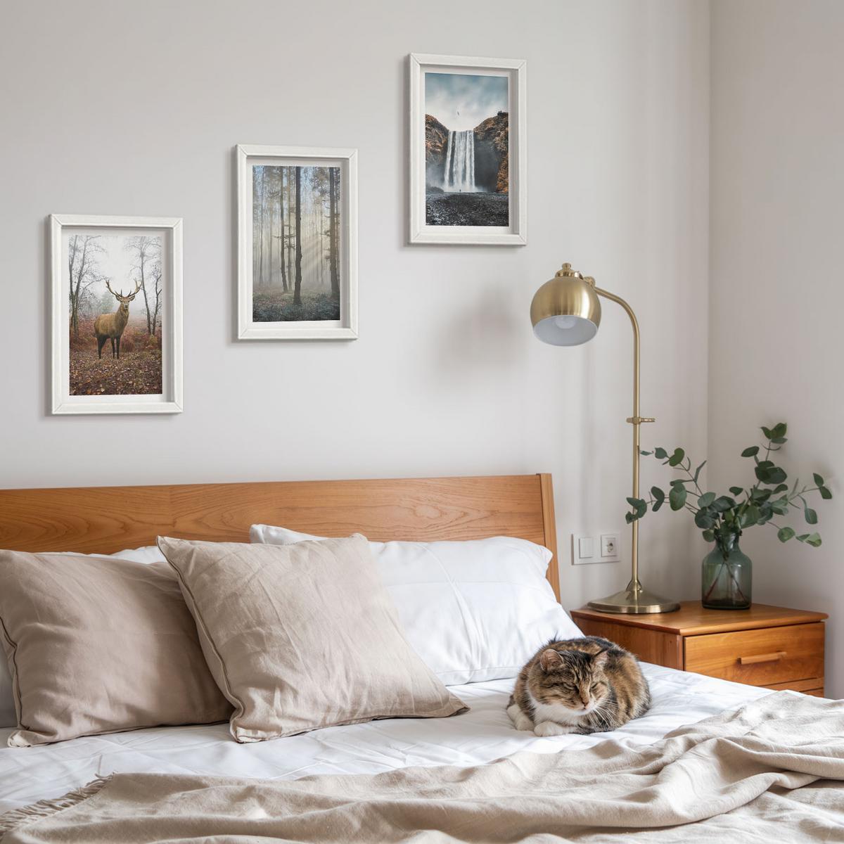 BILDER SET 3er Set - 20x30 cm Weißer Rahmen - Waldlandschaften, wilde Natur - Weiß, Kunststoff (20/30cm) - TULUP
