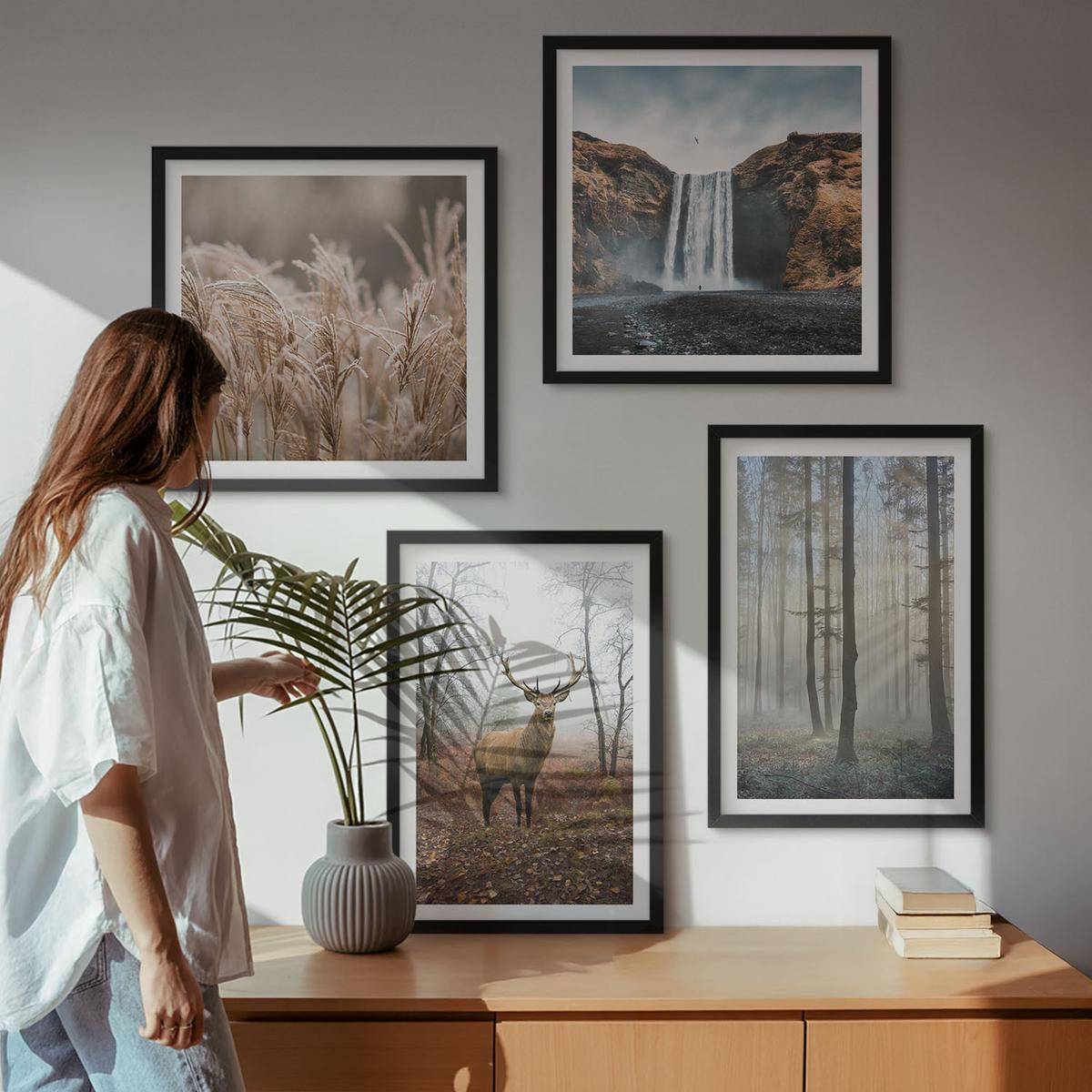 BILDER SET 4er Set - 50x50 cm & 40x60 cm Schwarzer Rahmen - Waldlandschaften der Wildnis - Schwarz, Kunststoff (50/50cm) - TULUP