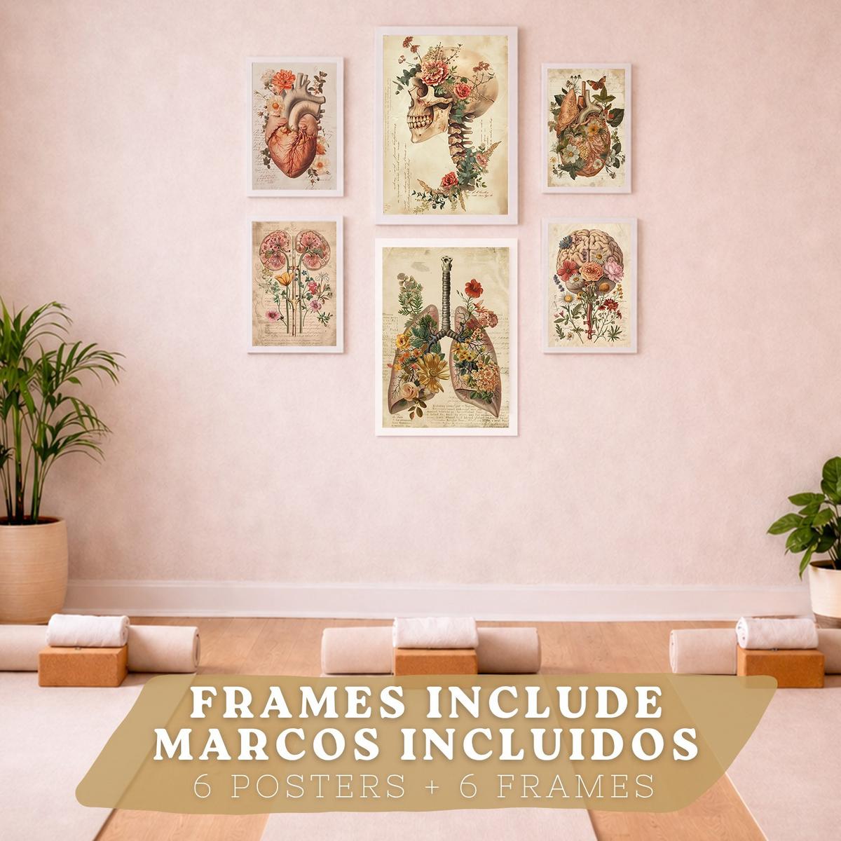 POSTER Set aus 6 Botanische Anatomie Drucke mit Herz Lungen Wirbelsäule Becken und Rippen Beige Terrakotta Erdtöne Florales Weißer Rahmen A3 & A4 - Weiß, Papier (29.7/42/3cm) - Nacnic