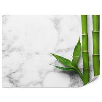 FOTOTAPETE für Küche Bambusblätter Grauer Marmor Exotisch Elegant 300x210 - Weiß/Grau, Papier (300/210cm) - Muralo