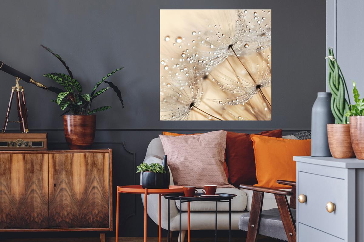 WANDTATTOO Löwenzahn - Abstrakt - Natur - Beige Wanddeko 50x50 cm - Braun, Kunststoff (50/50/0.1cm) - MuchoWow