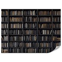 FOTOTAPETE für Büro Bücherregale Bibliothek Literatur 200x140 - Beige/Creme, Papier (200/140cm) - Muralo