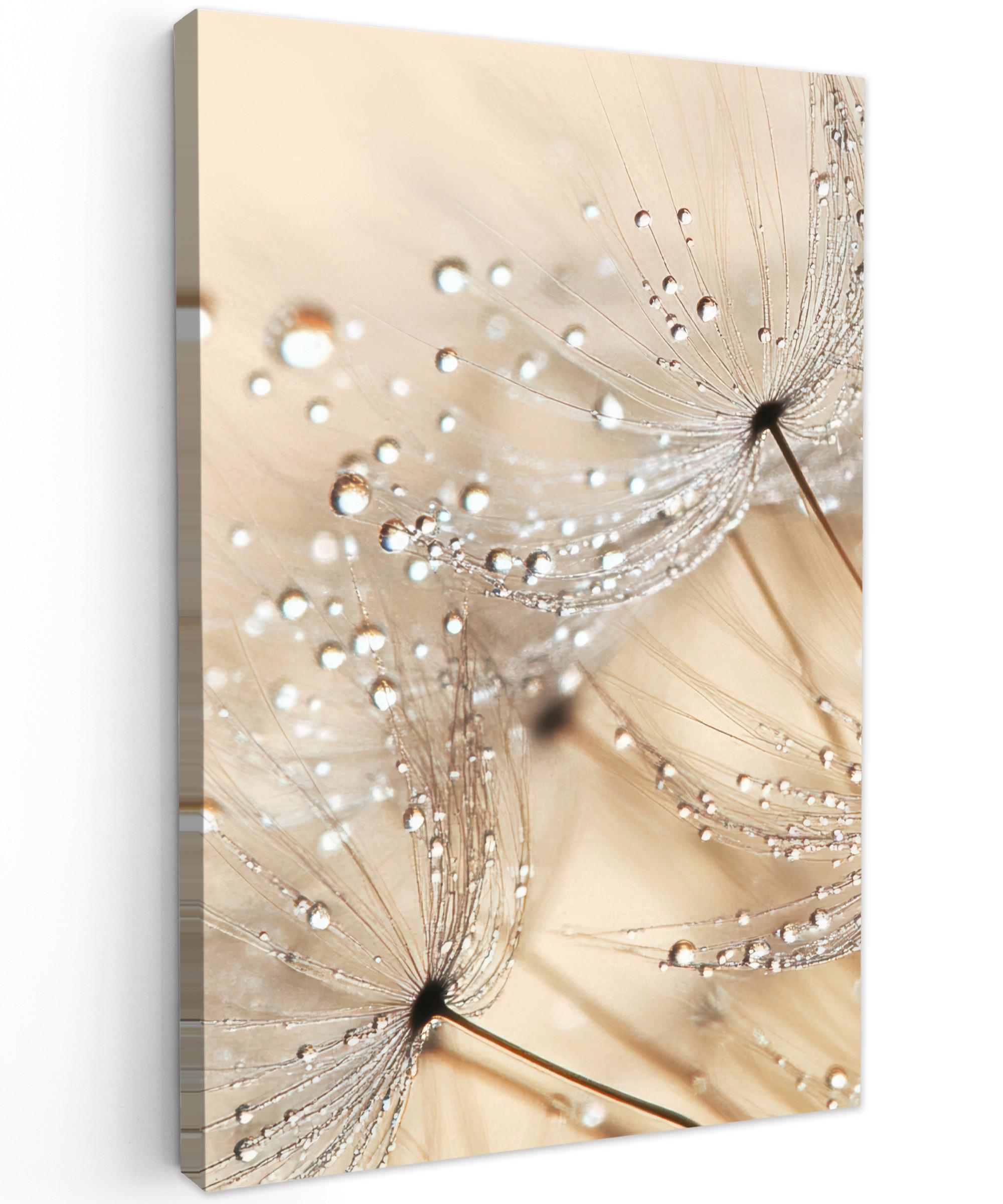 LEINWANDBILD Löwenzahn - Abstrakt - Natur - Beige Deko Groß 90x140 cm - Braun, Textil (90/140cm) - MuchoWow