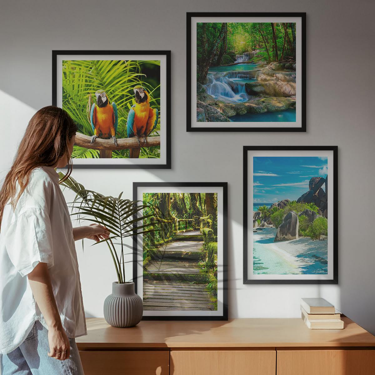 BILDER SET 4er Set - 50x50 cm & 40x60 cm Schwarzer Rahmen - Tropischer Wald Papageienwasserfall - Schwarz, Kunststoff (50/50cm) - TULUP