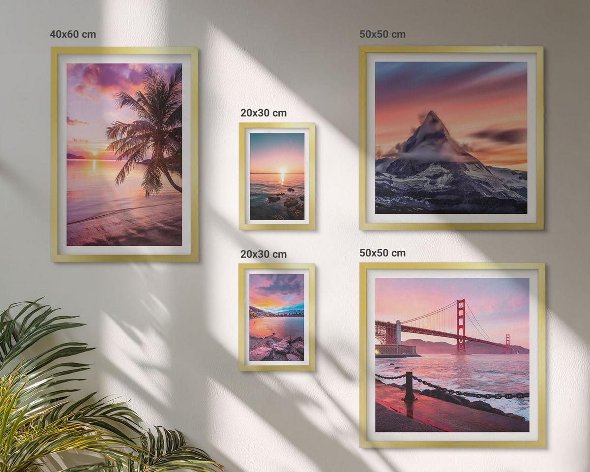 BILDER SET 5er Set - 50x50 cm & 20x30 cm & 40x60 cm Goldrahmen - Rosen, Champagner, Marmor, Pastell - Goldfarben, Kunststoff (40/60cm) - TULUP
