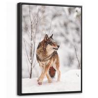 LEINWAND Bilder mit Rahmen - Wolf - Winter - Schnee - Natur - Tiere - 30x40 - Haselnussfarben, Textil (30/40cm) - MuchoWow