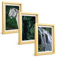 BILDER SET 3er Set - 20x30 cm Goldrahmen - Wasserfall aus weißen Tigerblättern - Goldfarben, Kunststoff (20/30cm) - TULUP