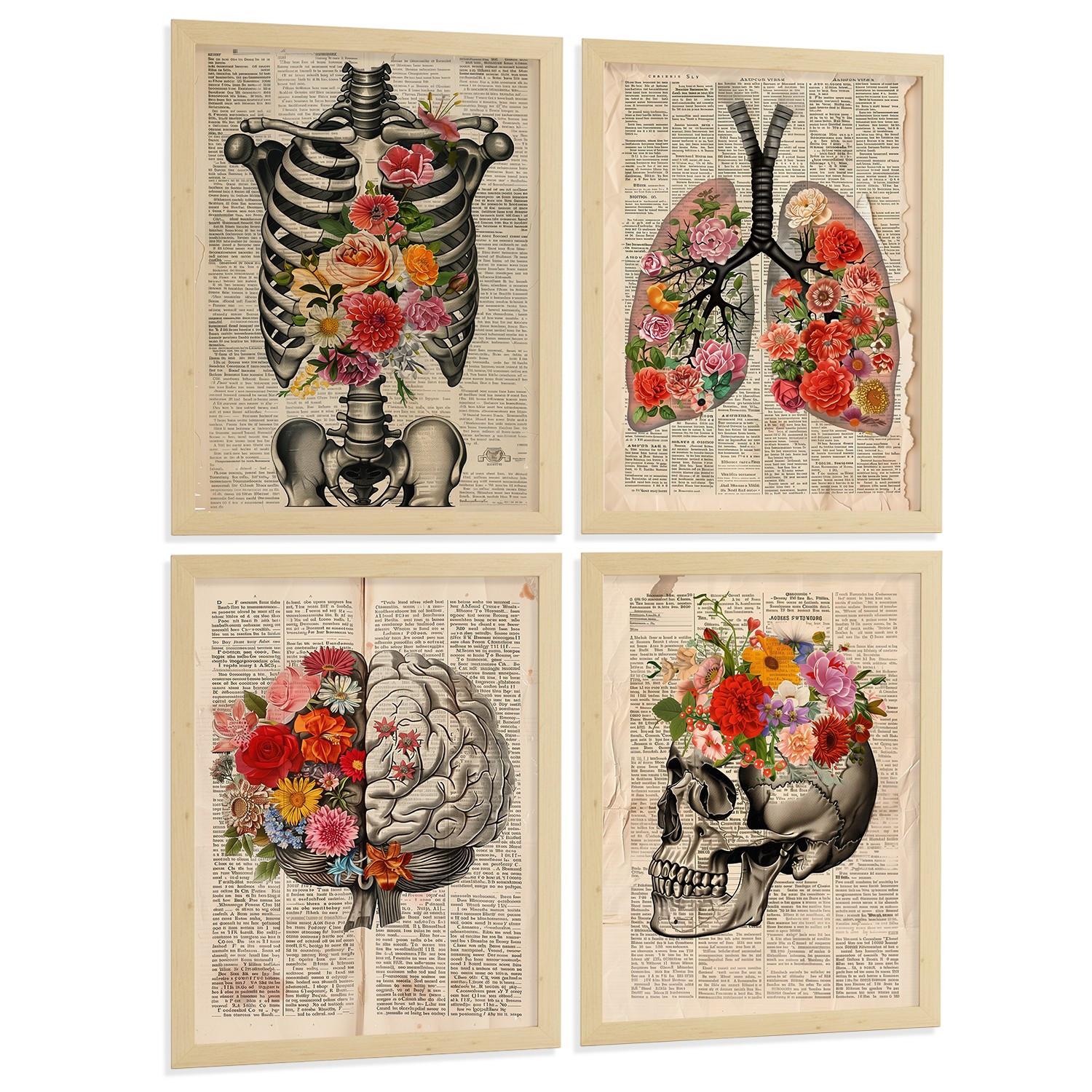 POSTER Set aus 4 Vintage Anatomie und Wandbilder mit Rippen Wirbelsäule Lungen Luftröhre Bronchien Gehirn und Schädel Größe Leichter Holzrahmen A4 - Beige, Papier (21/29.7/3cm) - Nacnic