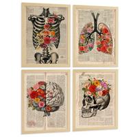 POSTER Set aus 4 Vintage Anatomie und Wandbilder mit Rippen Wirbelsäule Lungen Luftröhre Bronchien Gehirn und Schädel Größe Leichter Holzrahmen A4 - Beige, Papier (21/29.7/3cm) - Nacnic