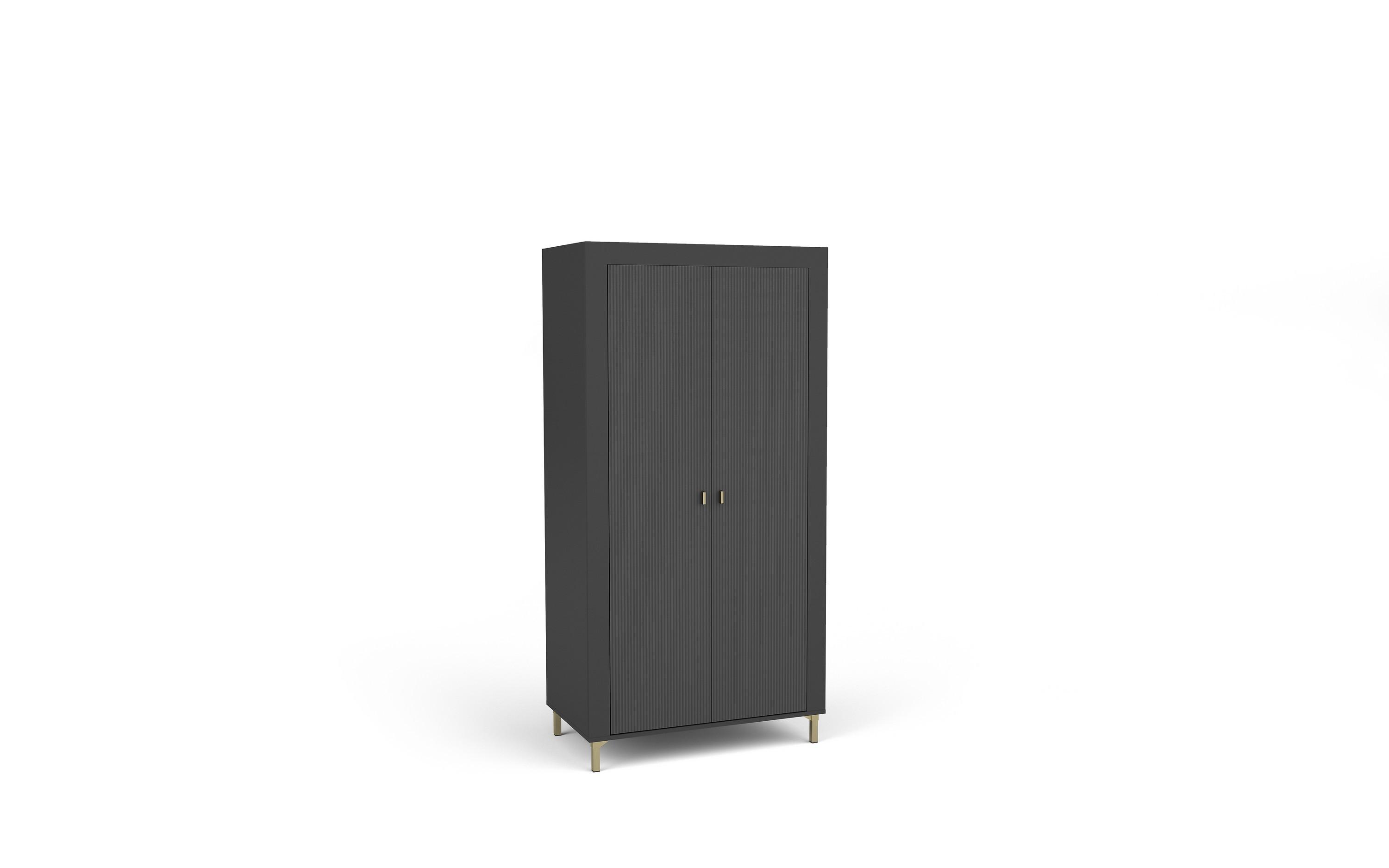 DREHTÜRENSCHRANK ZELOS 96,9/193,6/56cm 2-türig Schwarz - Schwarz, Holzwerkstoff (96.9/193.6/56cm) - MASSENO