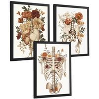 POSTER Set aus 3 Anatomie Mensch Florale Vintage Drucke und Wandbilder mit Herz Brustkorb und Becken Wanddekoration Größe Schwarzer Rahmen A3 - Schwarz, Papier (29.7/42/3cm) - Nacnic