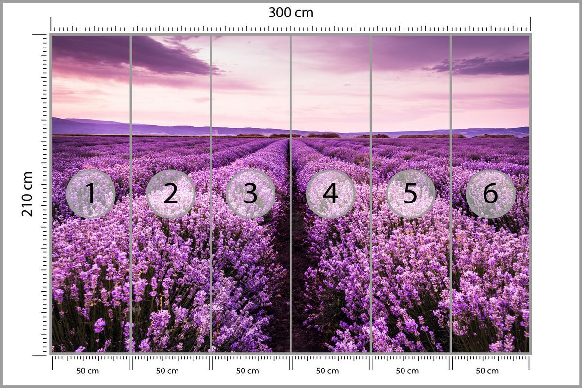 FOTOTAPETE für Schlafzimmer Lila Lavendel Wiese Harmonisch Romantisch 300x210 - Violett/Lila, Papier (300/210cm) - Muralo