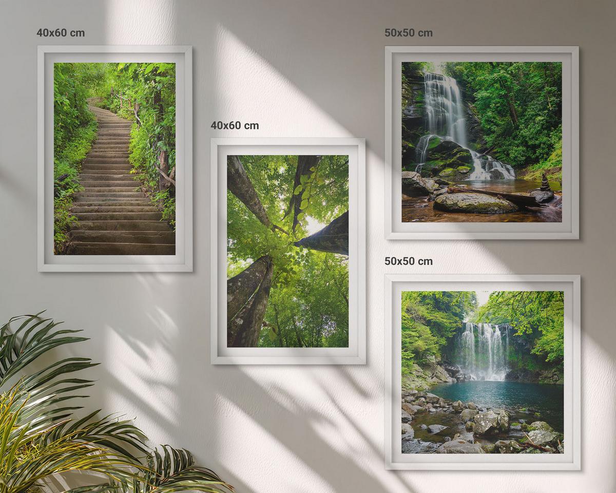 BILDER SET 4er Set - 50x50 cm & 40x60 cm Weißer Rahmen - Pfad Wald Wasserfall Vegetation - Weiß, Kunststoff (50/50cm) - TULUP