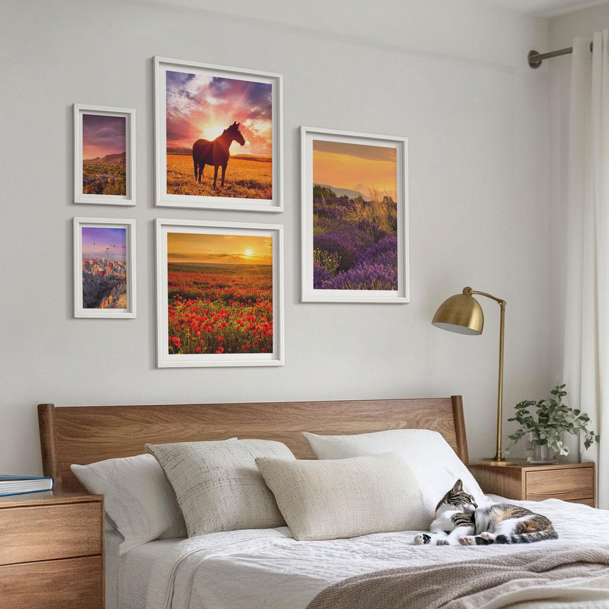 BILDER SET 5er Set - 50x50 cm & 20x30 cm & 40x60 cm Weißer Rahmen - Berglandschaft Rosslavendel - Weiß, Kunststoff (40/60cm) - TULUP