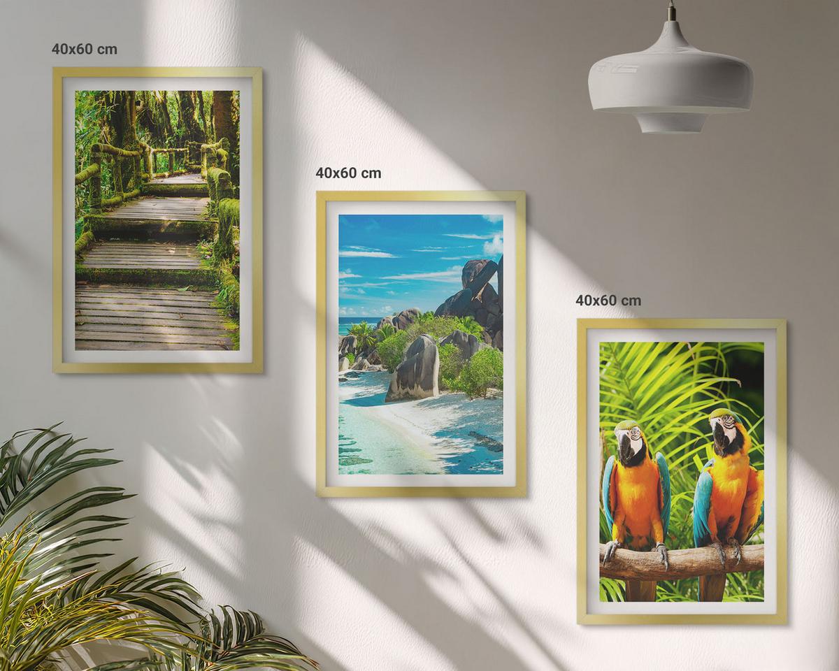 BILDER SET 3er Set - 40x60 cm Goldrahmen - Tropischer Wald Papageienwasserfall - Goldfarben, Kunststoff (40/60cm) - TULUP