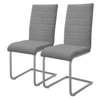 SCHWINGSTUHL 2er Set Grau Kunstleder - Silberfarben/Grau, Metall (40/102/57cm) - ML-DESIGN