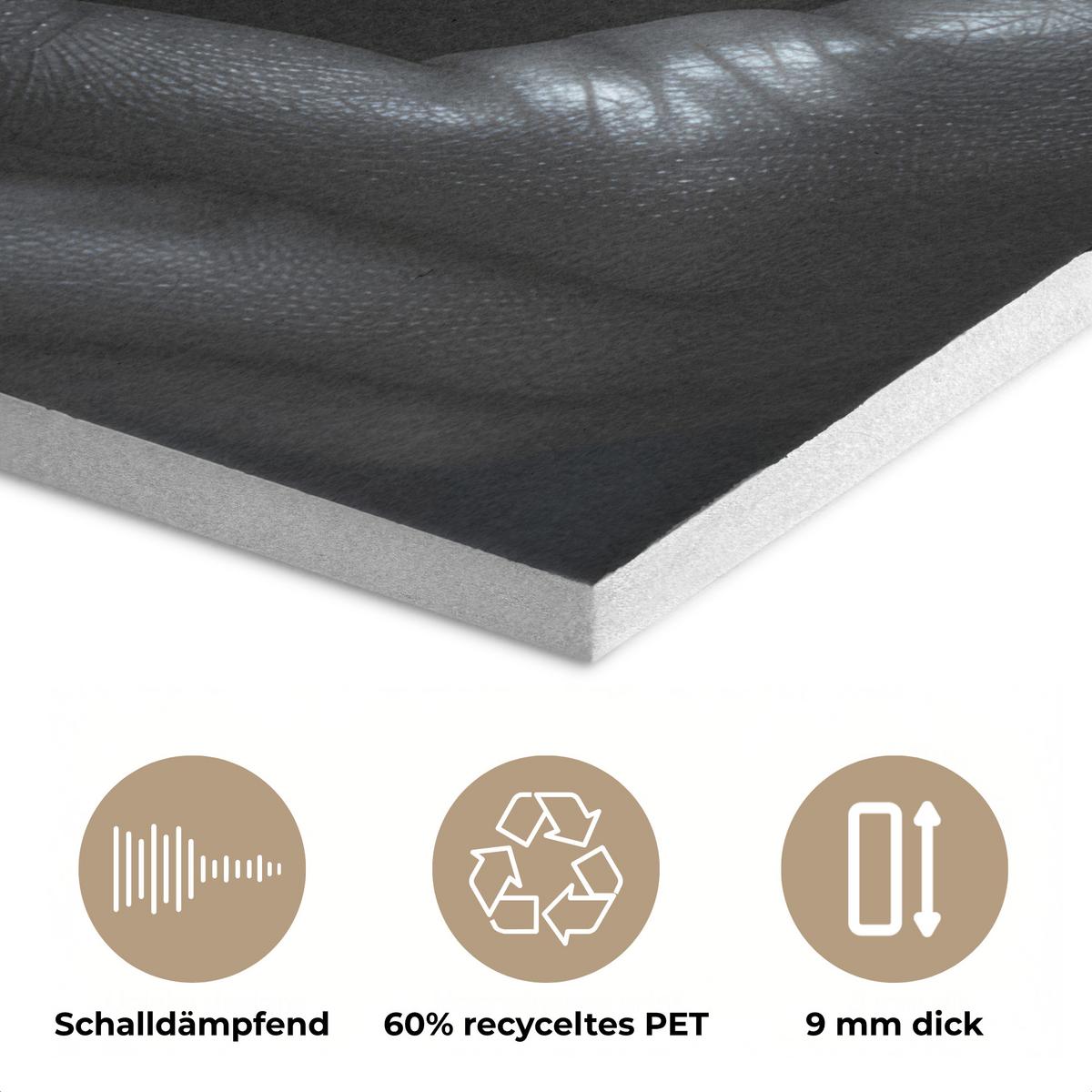 AKUSTIKBILD Frau - Gold - Porträt - Schwarz-Weiß - Luxus Kunstdruck Schlafzimmer 50x70 cm - Hellblau, Kunststoff (50/70/0.9cm) - MuchoWow