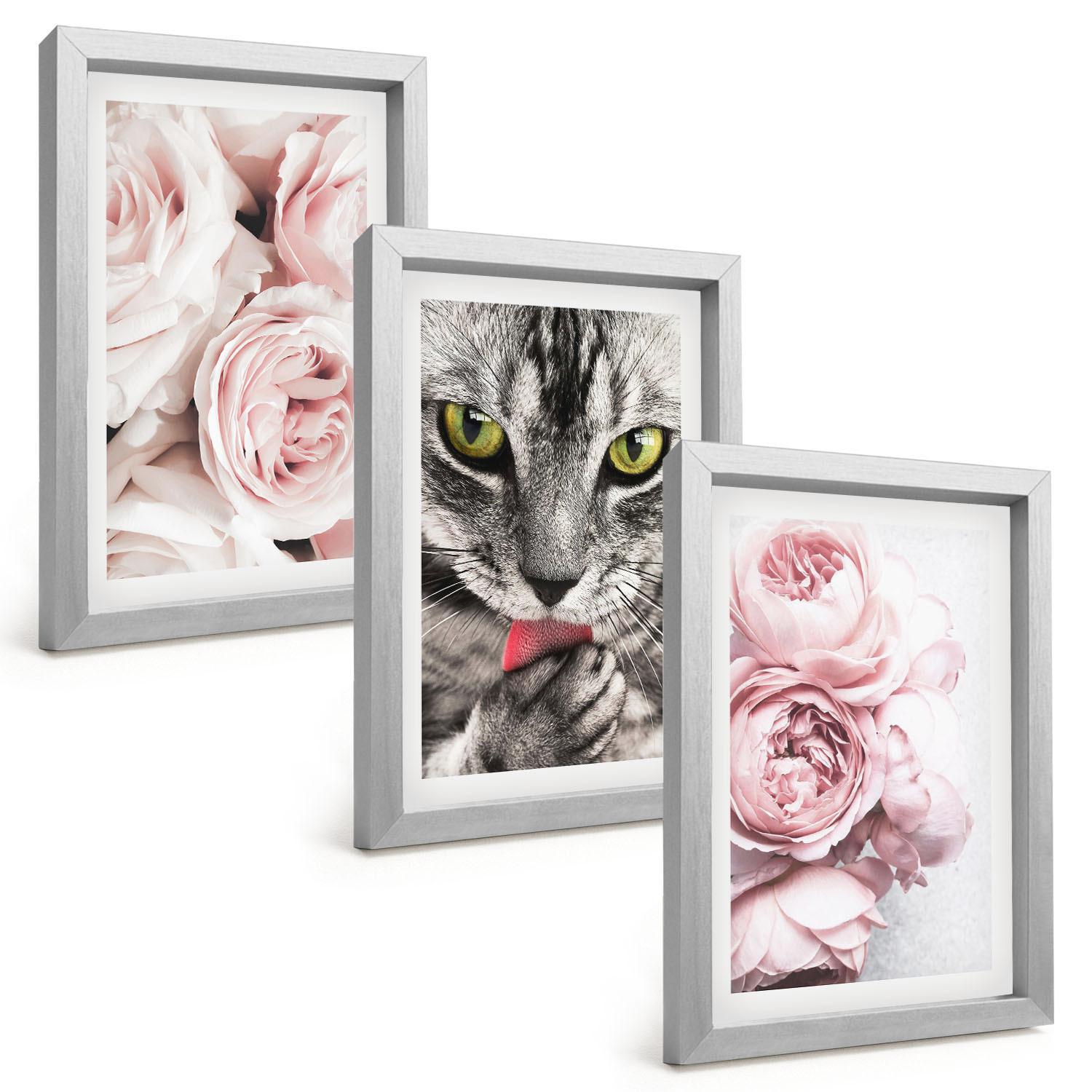 BILDER SET 3er Set - 20x30 cm Silberner Rahmen - Katze in rosa Blumen - Silberfarben, Kunststoff (20/30cm) - TULUP