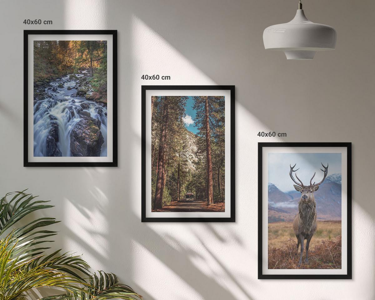 BILDER SET 3er Set - 40x60 cm Schwarzer Rahmen - Wasserfall Wald Berge Hirsch Natur - Schwarz, Kunststoff (40/60cm) - TULUP