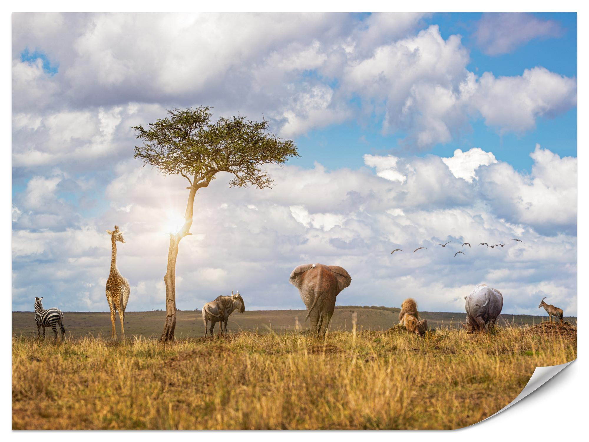 FOTOTAPETE für Kinderzimmer Safari Tiere Elefant Giraffe Löwe 200x140 - Beige/Braun, Papier (200/140cm) - Muralo