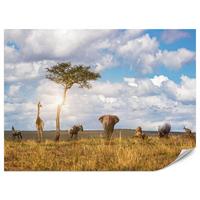 FOTOTAPETE für Kinderzimmer Safari Tiere Elefant Giraffe Löwe 200x140 - Beige/Braun, Papier (200/140cm) - Muralo