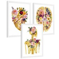POSTER Set aus 3 Anatomie Mensch Drucke und Wandbilder mit Herz Gehirn und Skelett Goldenes Florales Design Wanddekoration Größe Weißer Rahmen A3 - Weiß, Papier (29.7/42/3cm) - Nacnic