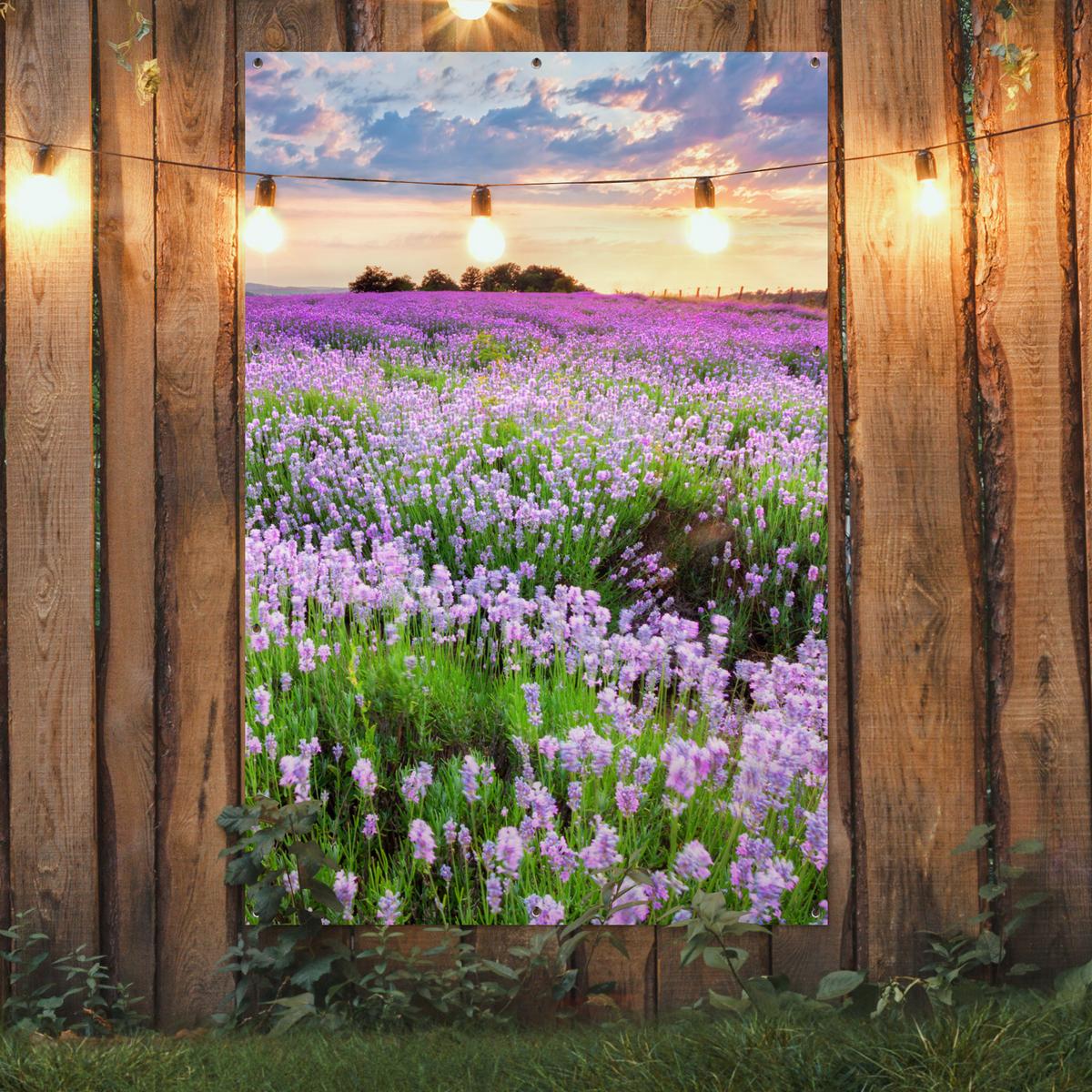 GARTENPOSTER Blumen - Lavendel - Lila - Himmel - Sonnenuntergang - Wiese - Natur Bild 120x180 cm - Flieder, Kunststoff (120/180/0.2cm) - OnlyWow