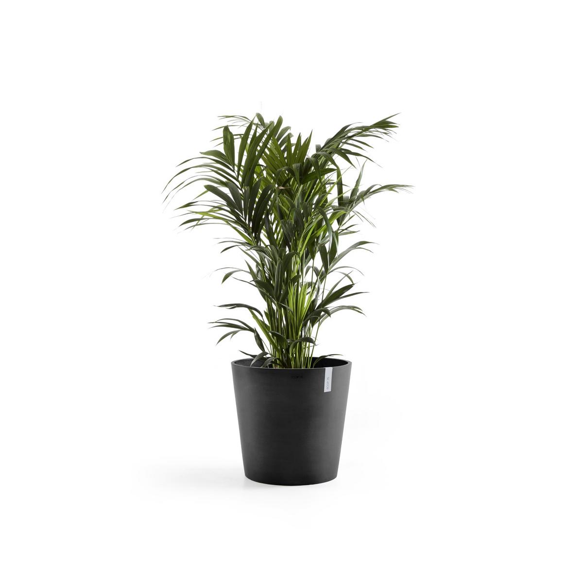BLUMENTOPF Amsterdam 50,5/43,5 cm Dunkelgrau - Dunkelgrau, Kunststoff (50.5/43.5cm) - Ecopots