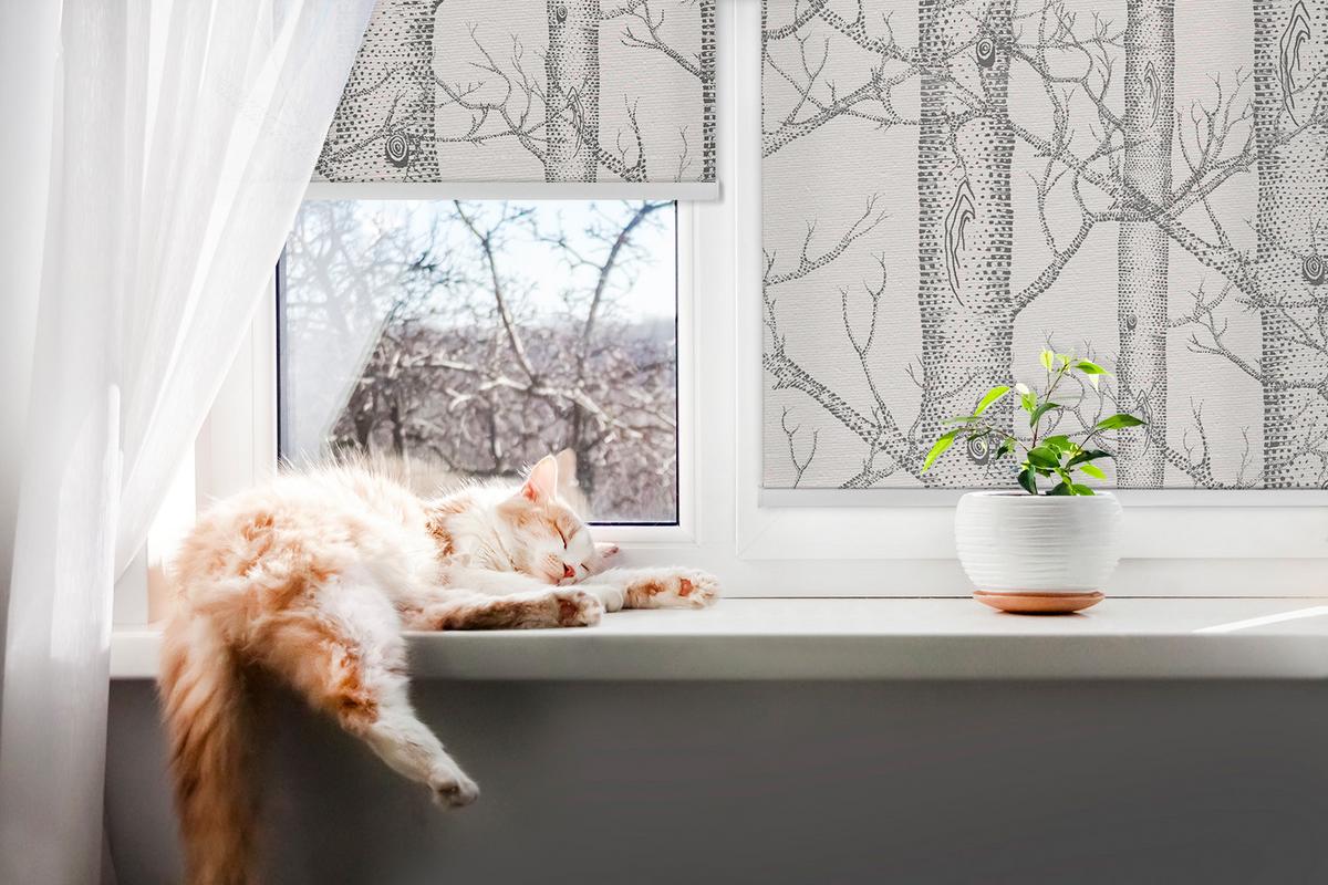 INNENROLLO - Fensterrollo - Rollo - 150x180 cm - Koffer - Grau, Kunststoff (150/180/0.5cm) - TULUP