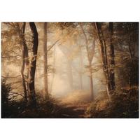 FOTOTAPETE Wald Bäume Braun 200x140 cm - Multicolor, Papier (200/140cm) - Wallarena
