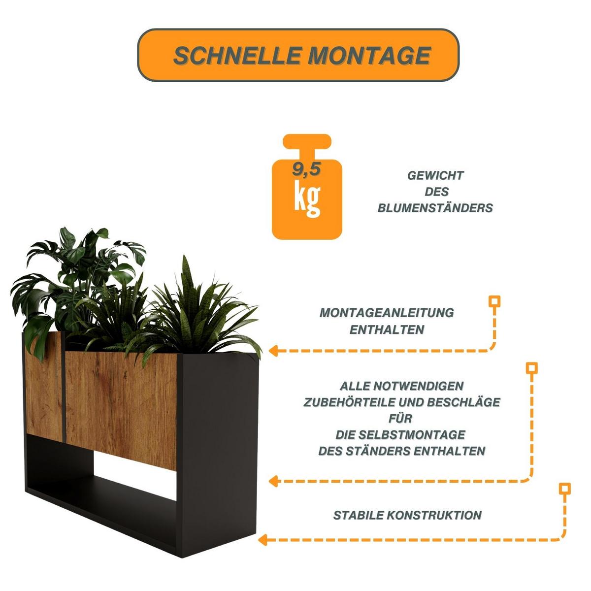 BLUMENKASTEN - Nussbaumfarben, Holzwerkstoff (22.6/45/64.5cm) - RAUMHIRSCH FURNITURE