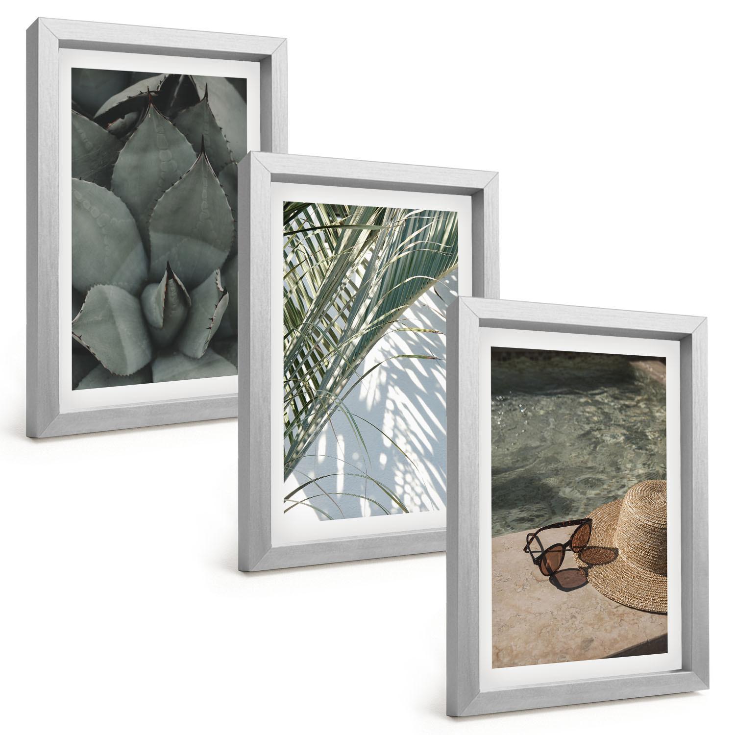 BILDER SET 3er Set - 20x30 cm Silberner Rahmen - Tropische Pflanzen für den Urlaub - Silberfarben, Kunststoff (20/30cm) - TULUP