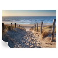 FOTOTAPETE 312x219 cm - Strandweg - Weiß, Textil (312/219cm) - Wallfluent