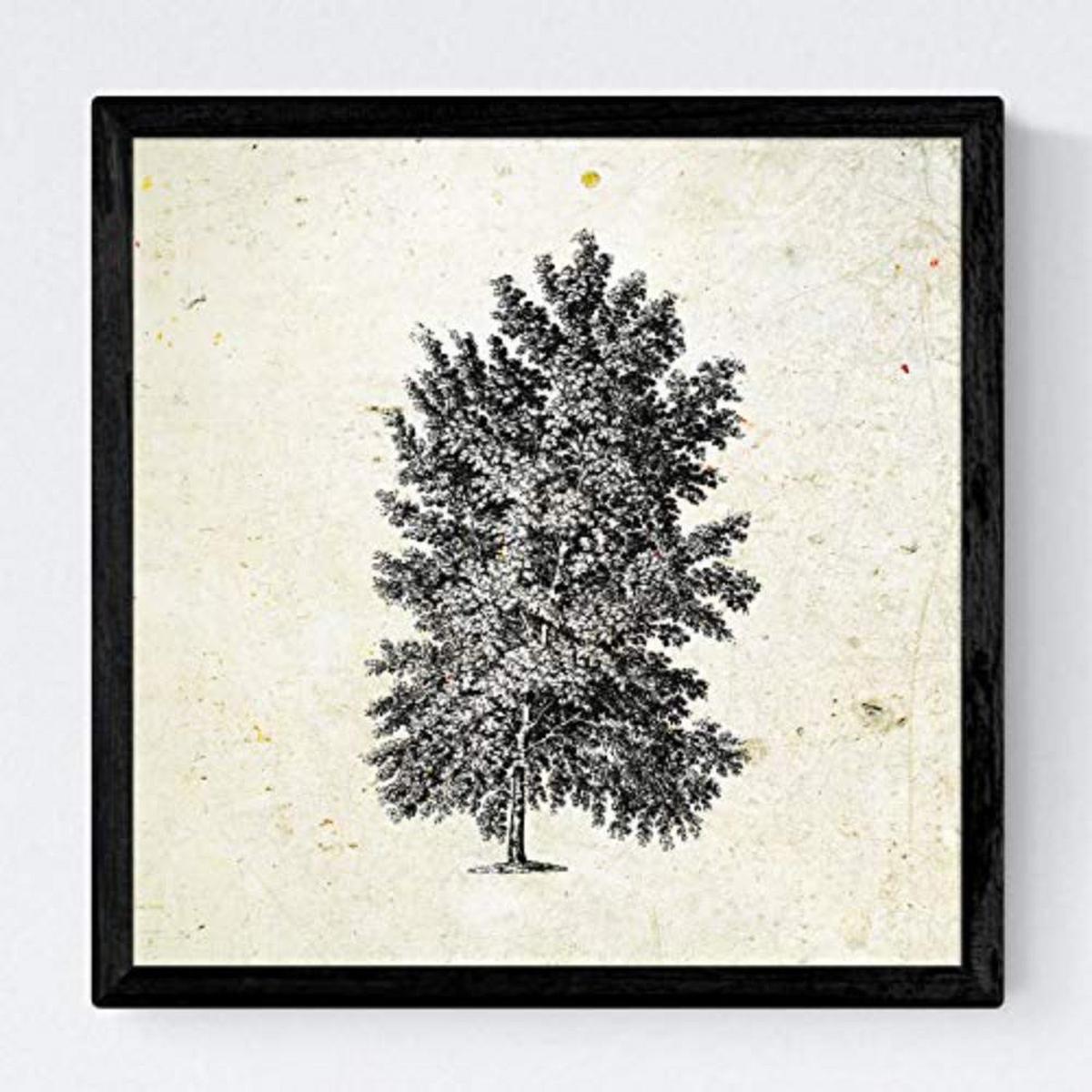 POSTER Set mit 4 Blättern der verschiedene Richtungen 20x20cm Schwarzer Rahmen - Schwarz, Papier (20/3cm) - Nacnic