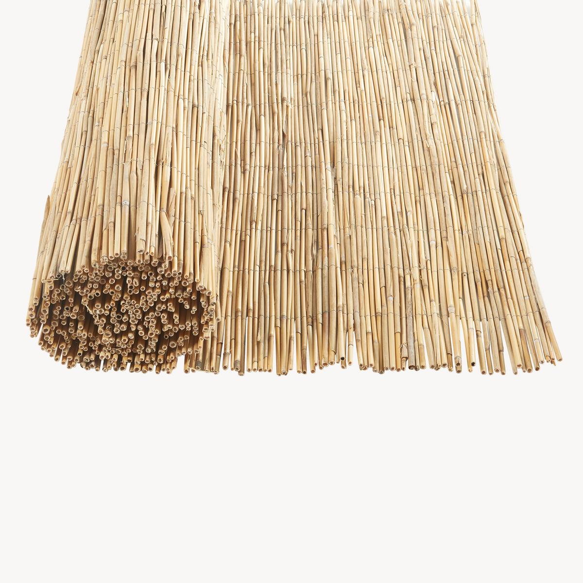 SCHILFZAUN Abbateggio - Naturfarben, Naturmaterialien (120/0.6cm) - casa.pro