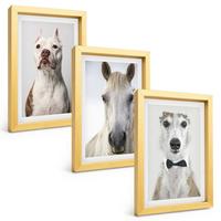 BILDER SET 3er Set - 20x30 cm Goldrahmen - Elegante Porträts von Hunden und Pferden - Goldfarben, Kunststoff (20/30cm) - TULUP