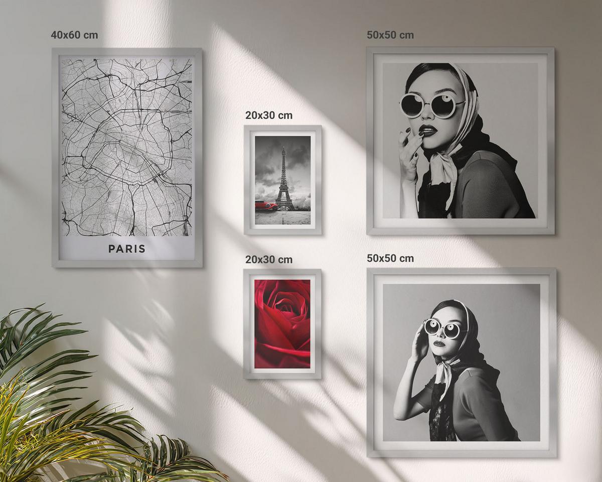 BILDER SET 5er Set - 50x50 cm & 20x30 cm & 40x60 cm Silberner Rahmen - Pariserin mit Eiffelturmbrille - Silberfarben, Kunststoff (40/60cm) - TULUP
