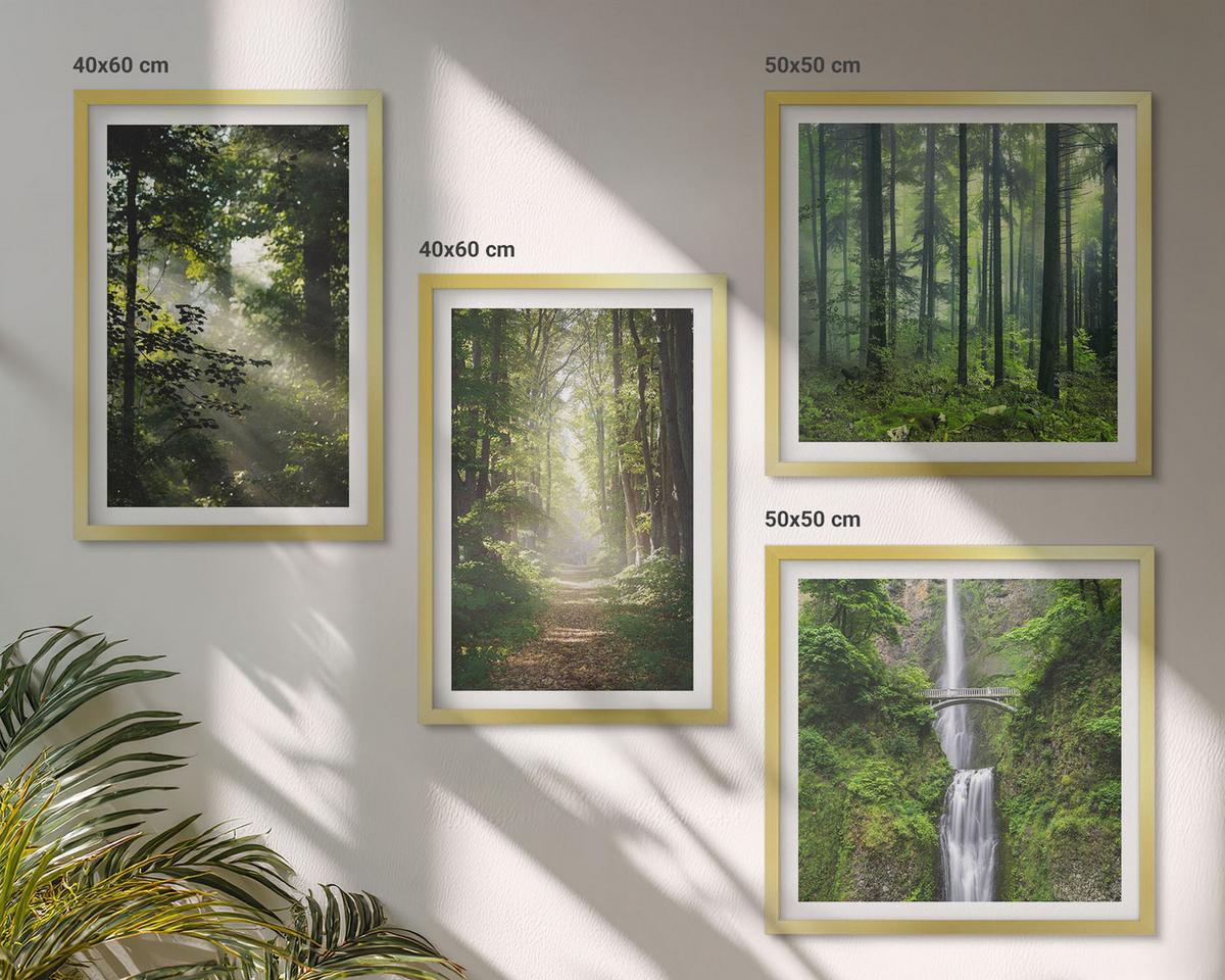 BILDER SET 4er Set - 50x50 cm & 40x60 cm Goldrahmen - Grüne Wälder, Lichtstrahlen - Goldfarben, Kunststoff (50/50cm) - TULUP