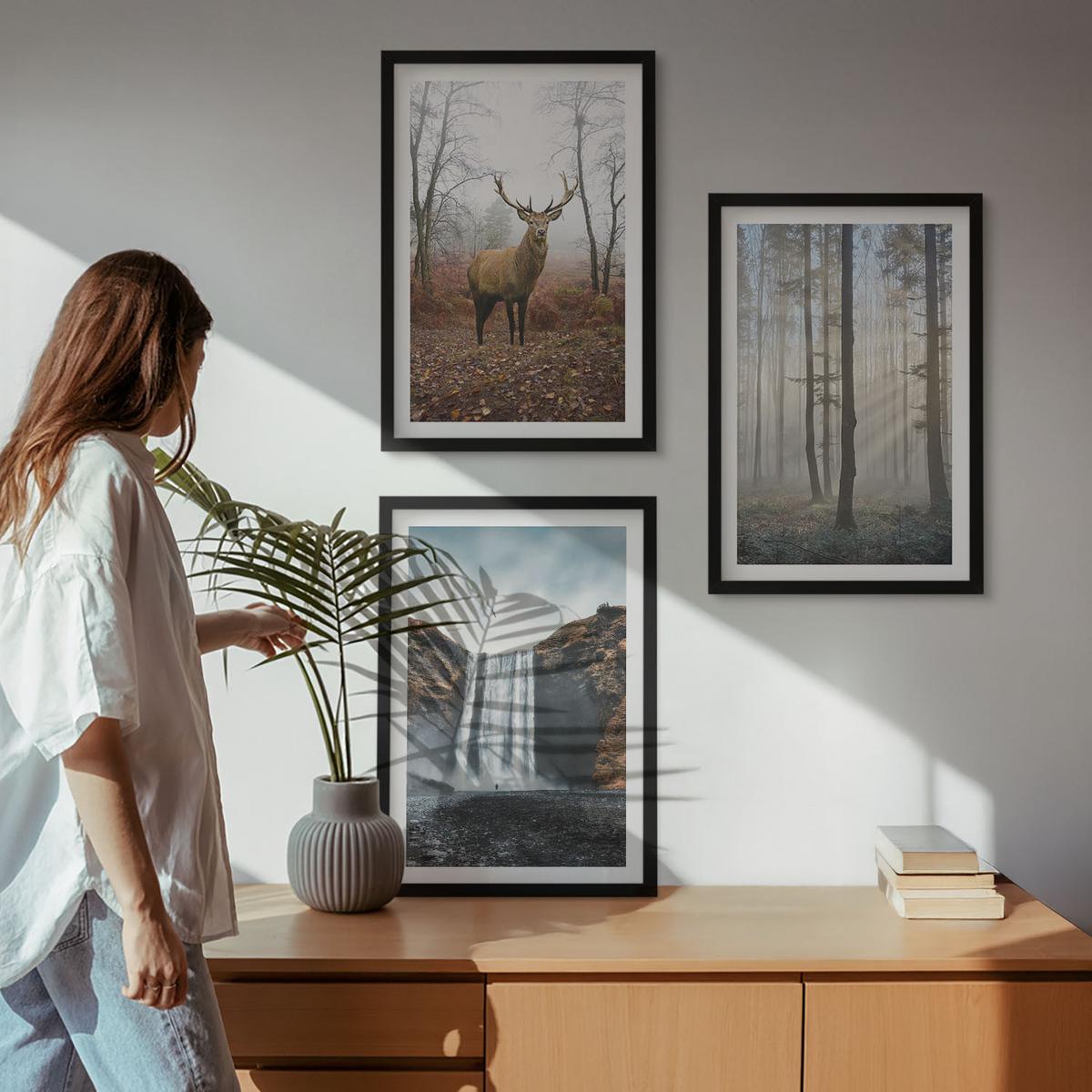 BILDER SET 3er Set - 40x60 cm Schwarzer Rahmen - Waldlandschaften, wilde Natur - Schwarz, Kunststoff (40/60cm) - TULUP