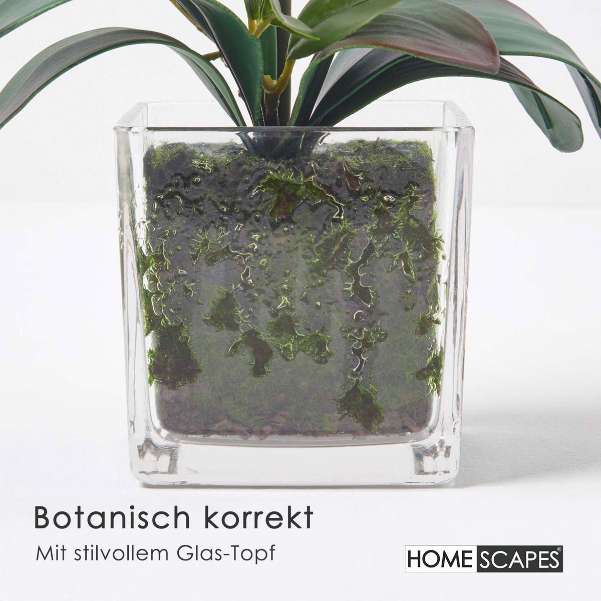 KUNSTBLUME Orchidee weiß-pink im Glas-Topf, 42 cm - Weiß, Kunststoff (42cm) - Homescapes