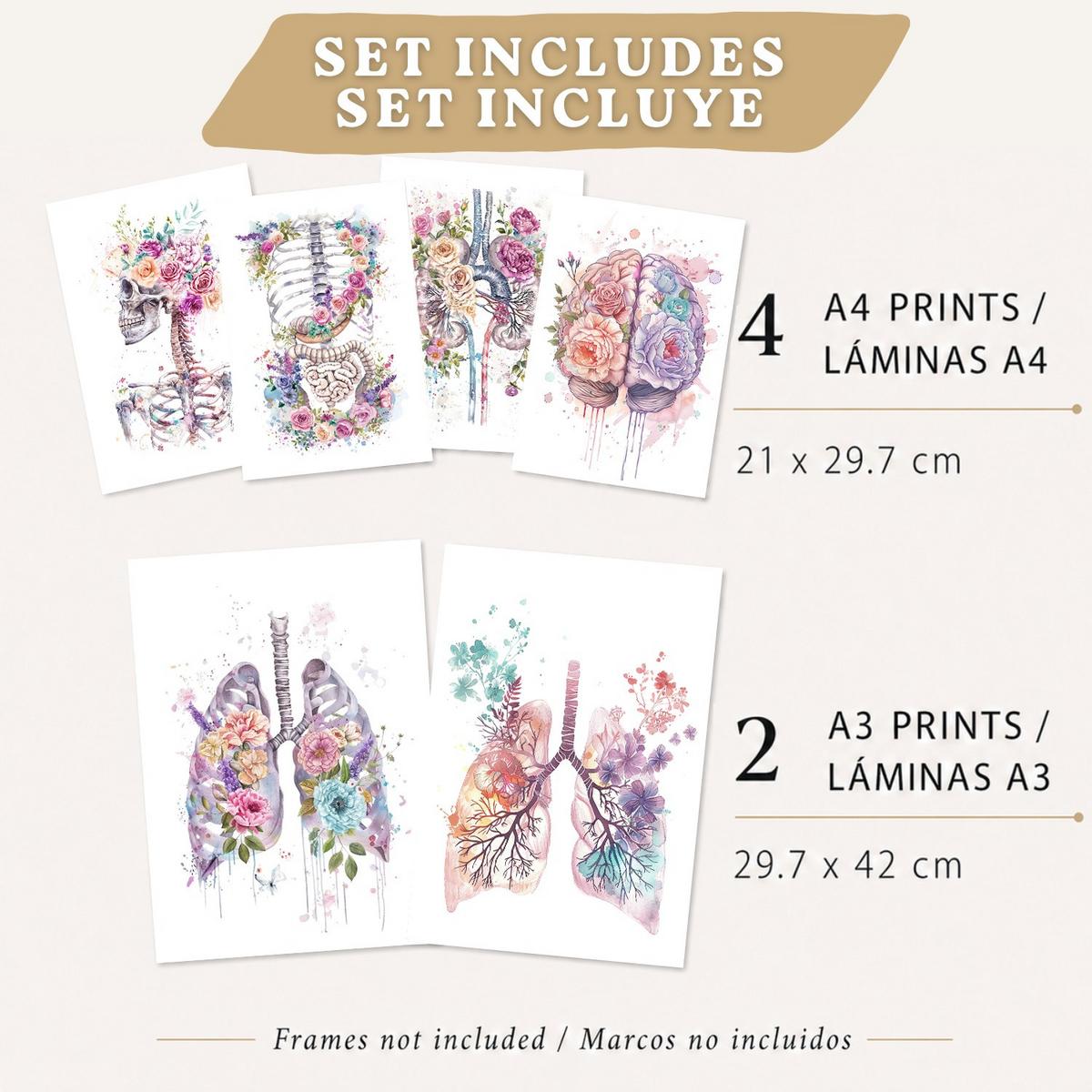 POSTER Set aus 6 Anatomie Mensch Florale Aquarell Drucke und mit Gehirn Lungen Skelett Nieren und Organen Botanische Größe Leichter Holzrahmen A3 & A4 - Beige, Papier (29.7/42/3cm) - Nacnic