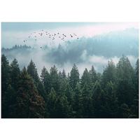 FOTOTAPETE Wald Nenbel 3D Effekt Natur Wohnzimmer 350x250 - Multicolor, Papier (350/250cm) - Wallarena