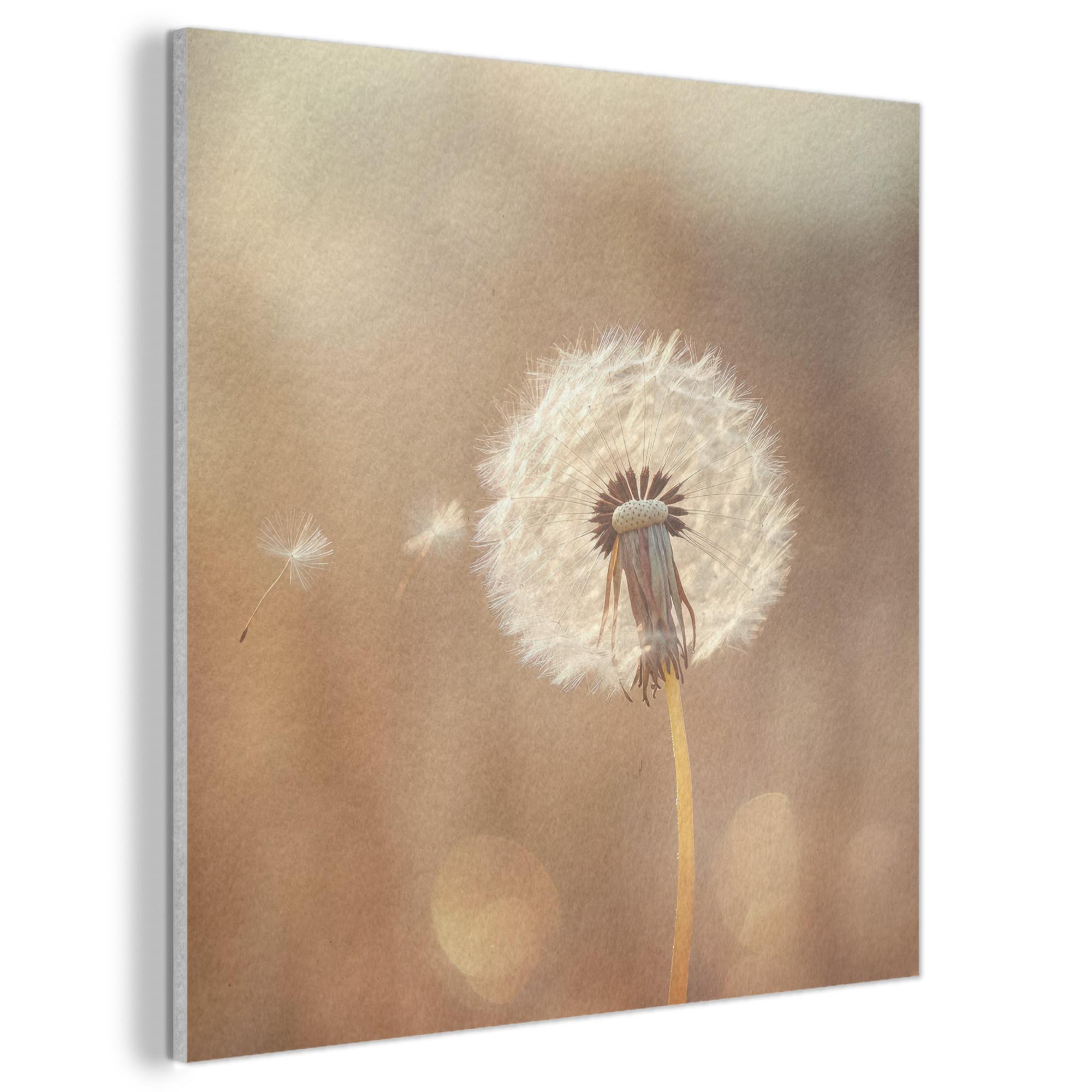 AKUSTIKBILD Löwenzahn - Beige - Natur - Blume Wandbilder 60x60 cm - Hellbraun, Kunststoff (60/60/0.9cm) - MuchoWow