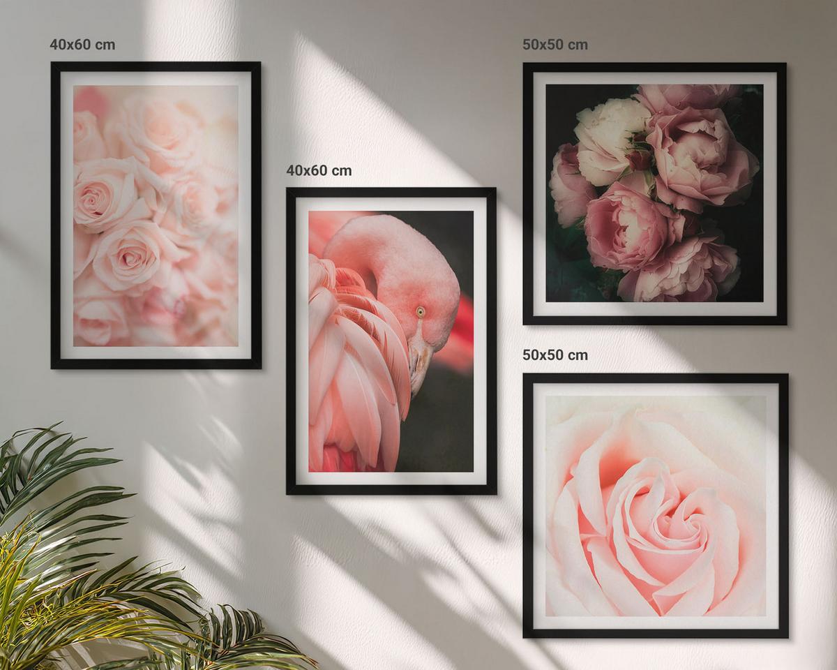 BILDER SET 4er Set - 50x50 cm & 40x60 cm Schwarzer Rahmen - Pastellrosa Flamingos - Schwarz, Kunststoff (50/50cm) - TULUP