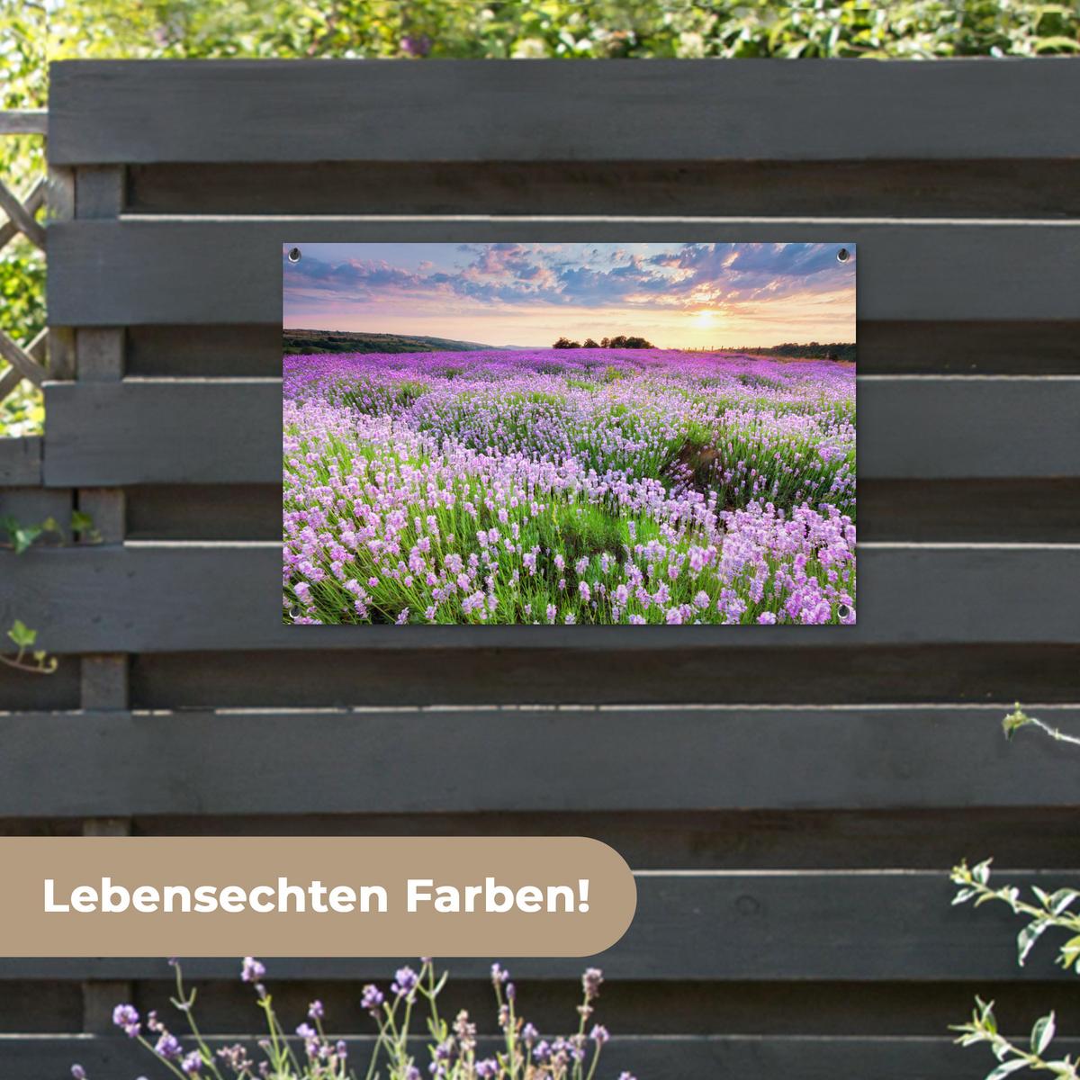 GARTENPOSTER Blumen - Lavendel - Lila - Himmel - Sonnenuntergang - Wiese - Natur Gartendeko 90x60 cm - Flieder, Kunststoff (90/60/0.2cm) - OnlyWow