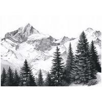 FOTOTAPETE Gebirge Wald Schwarzweiß 400x280 cm - Multicolor, Papier (400/280cm) - Wallarena