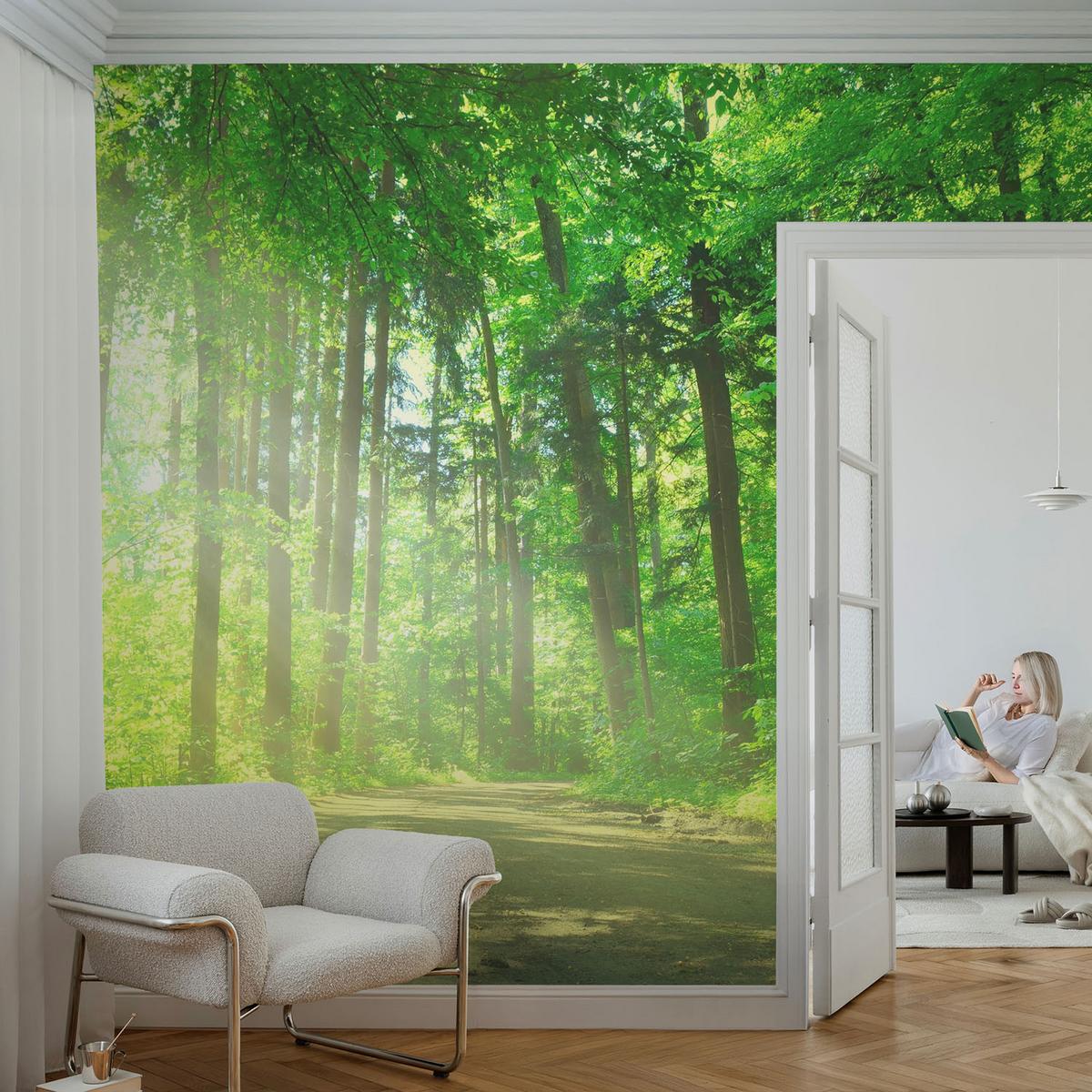 FOTOTAPETE 152x104 cm - Waldweg - Grün, Textil (152/104cm) - Wallfluent